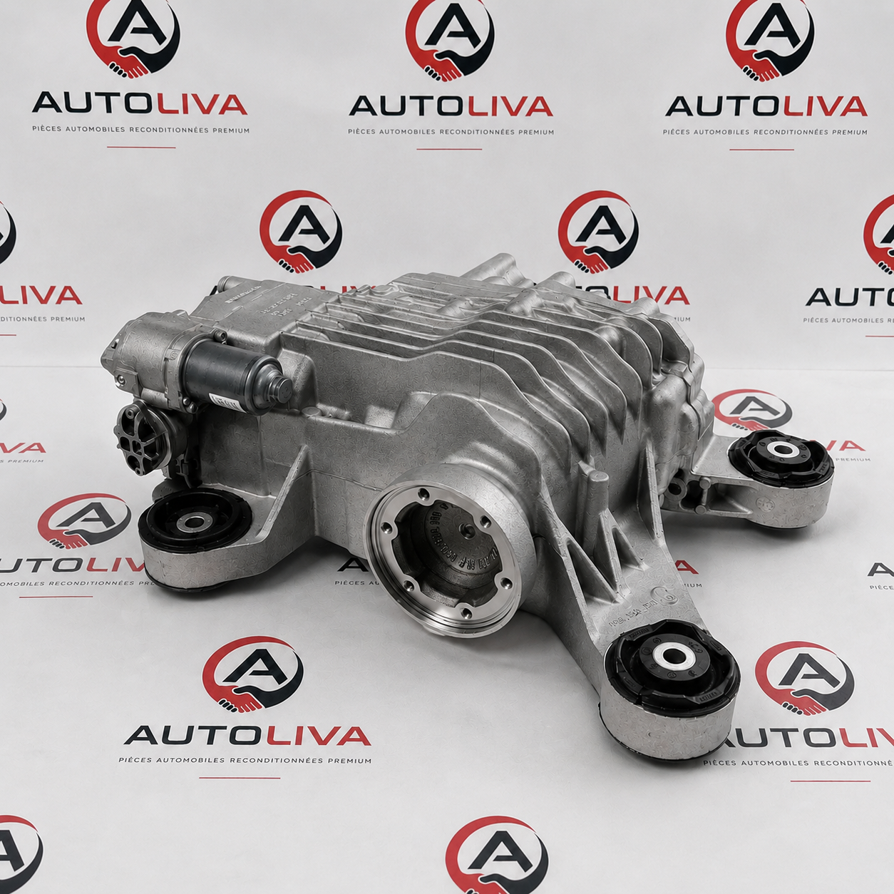 Hinterachsdifferential Haldex instandgesetzt Audi Volkswagen Seat Skoda 0CQ525010H / 0CQ525010N / 0CQ525010S / 0CQ525010F — vue 2