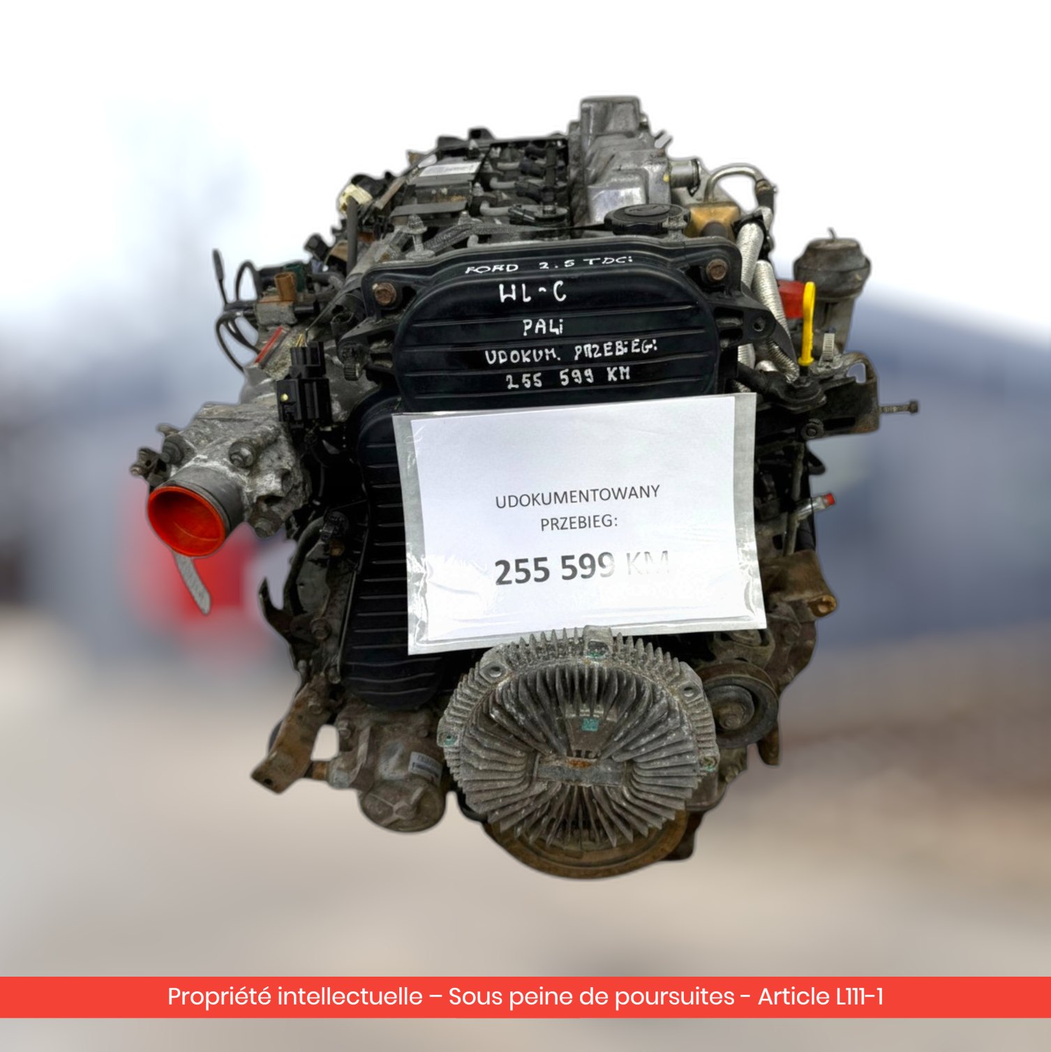 Moteur Ford Ranger / Mazda Bt-50 WL WLAA — occasion — vue 1