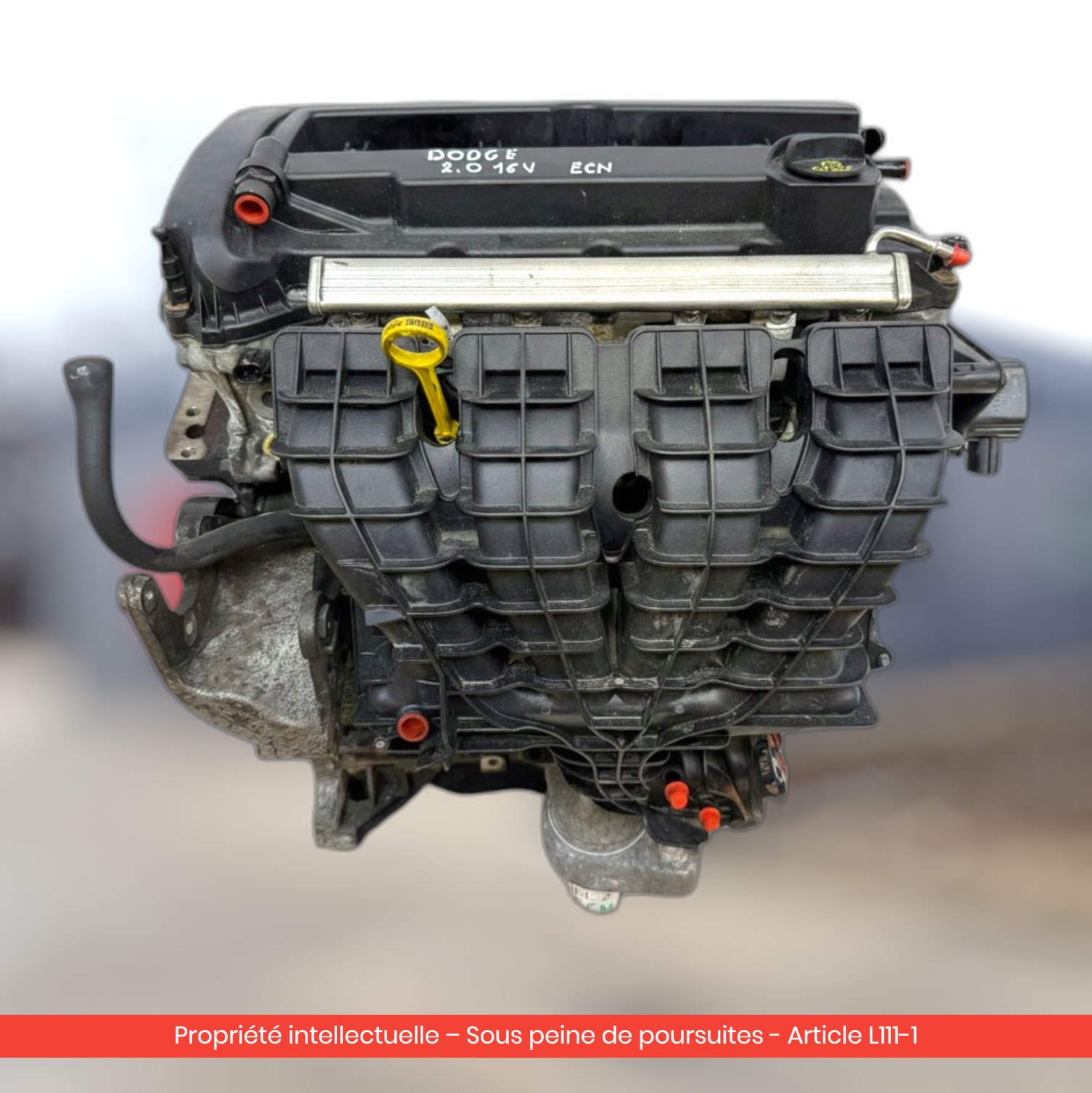 Moteur Dodge ECN — occasion — vue 4