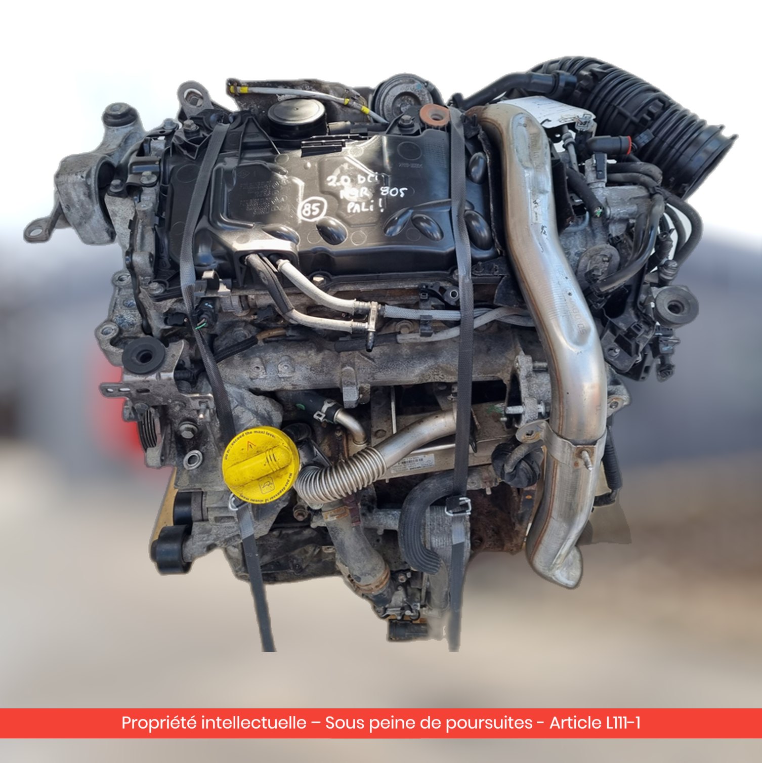 Moteur Renault Laguna III M9R805 M9RJ805 — occasion — vue 1