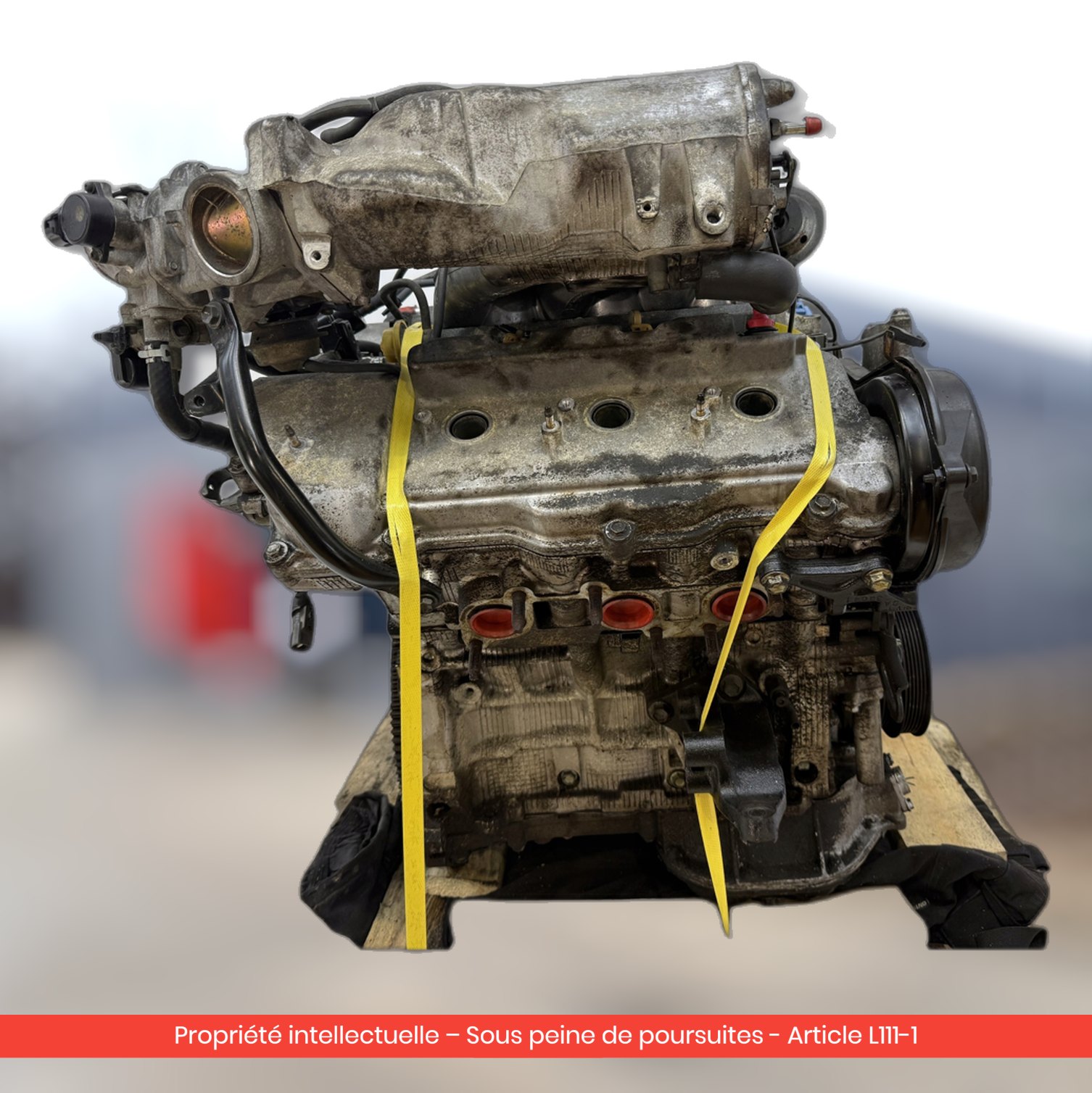 Moteur Lexus 1MZ 1MZ — occasion — vue 1