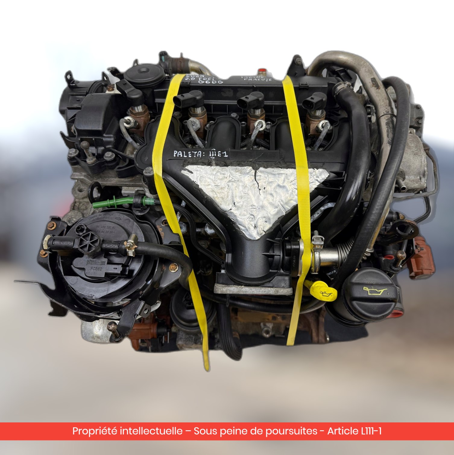 Moteur Ford Kuga G6DG — occasion — vue 1