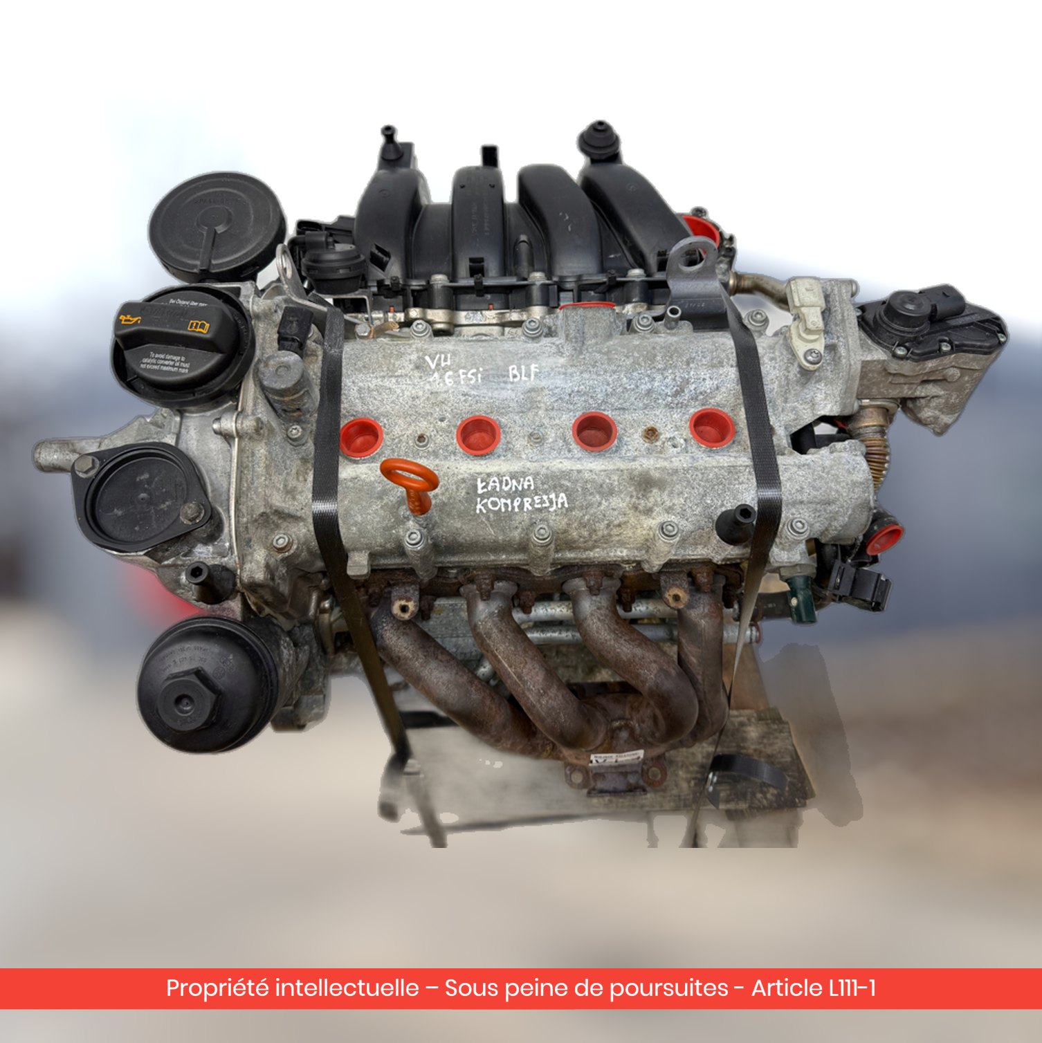 Moteur Volkswagen EOS / Audi A3 II 8P / Škoda Octavia II BLF — occasion — vue 2