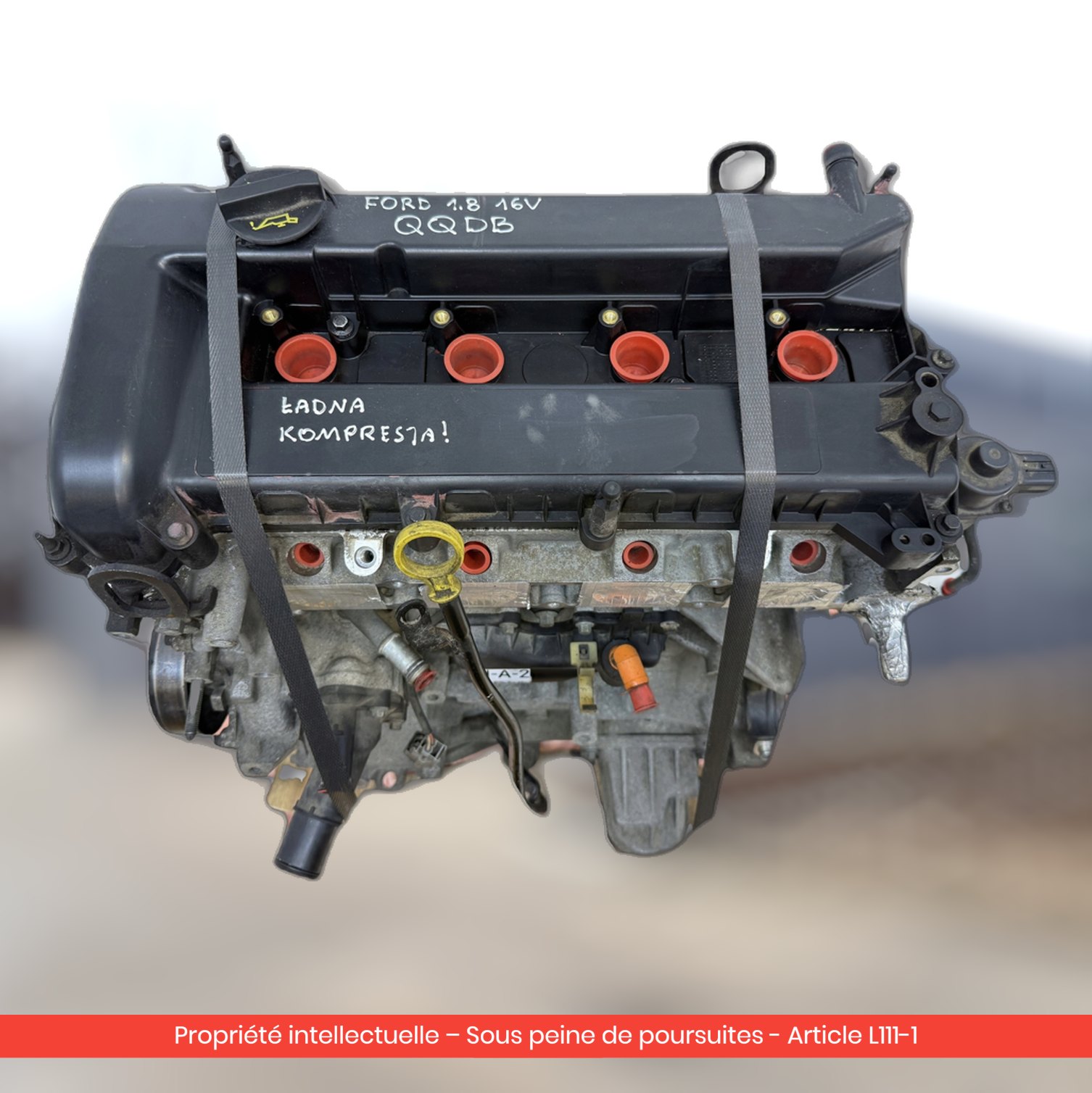 Moteur Ford Focus II MK2 QQDB — occasion — vue 4