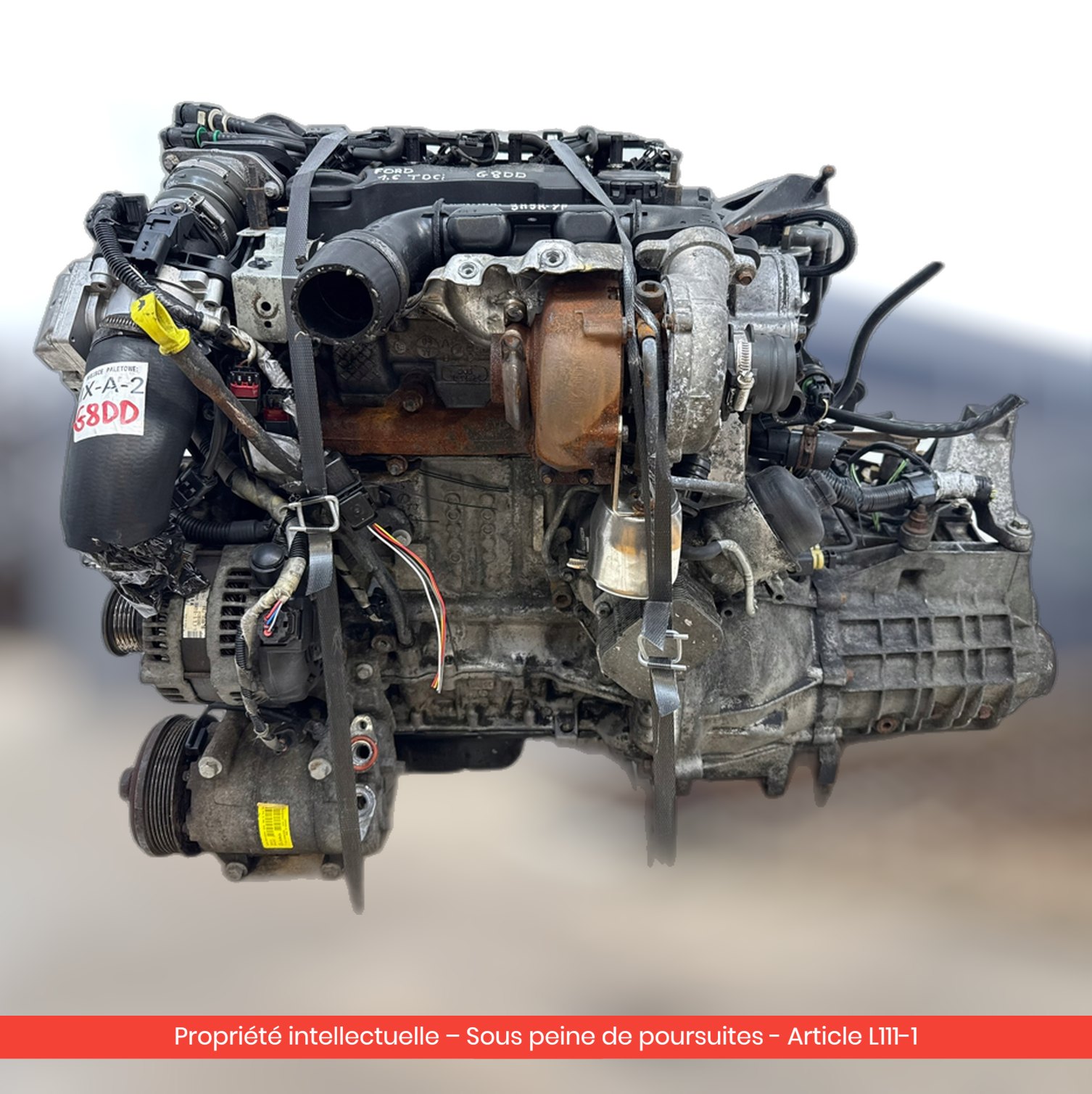 Moteur Ford Focus II MK2 G8DD — occasion — vue 4