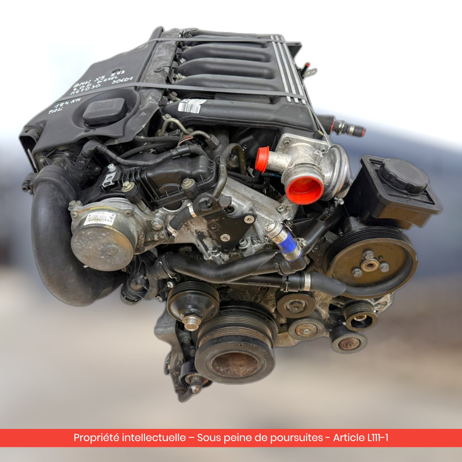 Moteur BMW X5 E53 D M57D30 — occasion — vue 3