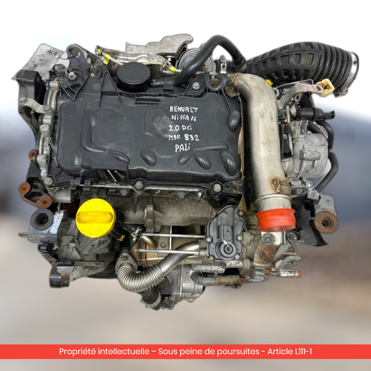 Moteur Nissan X-trail II T31 / Renault Koleos M9R832 — occasion — vue 4