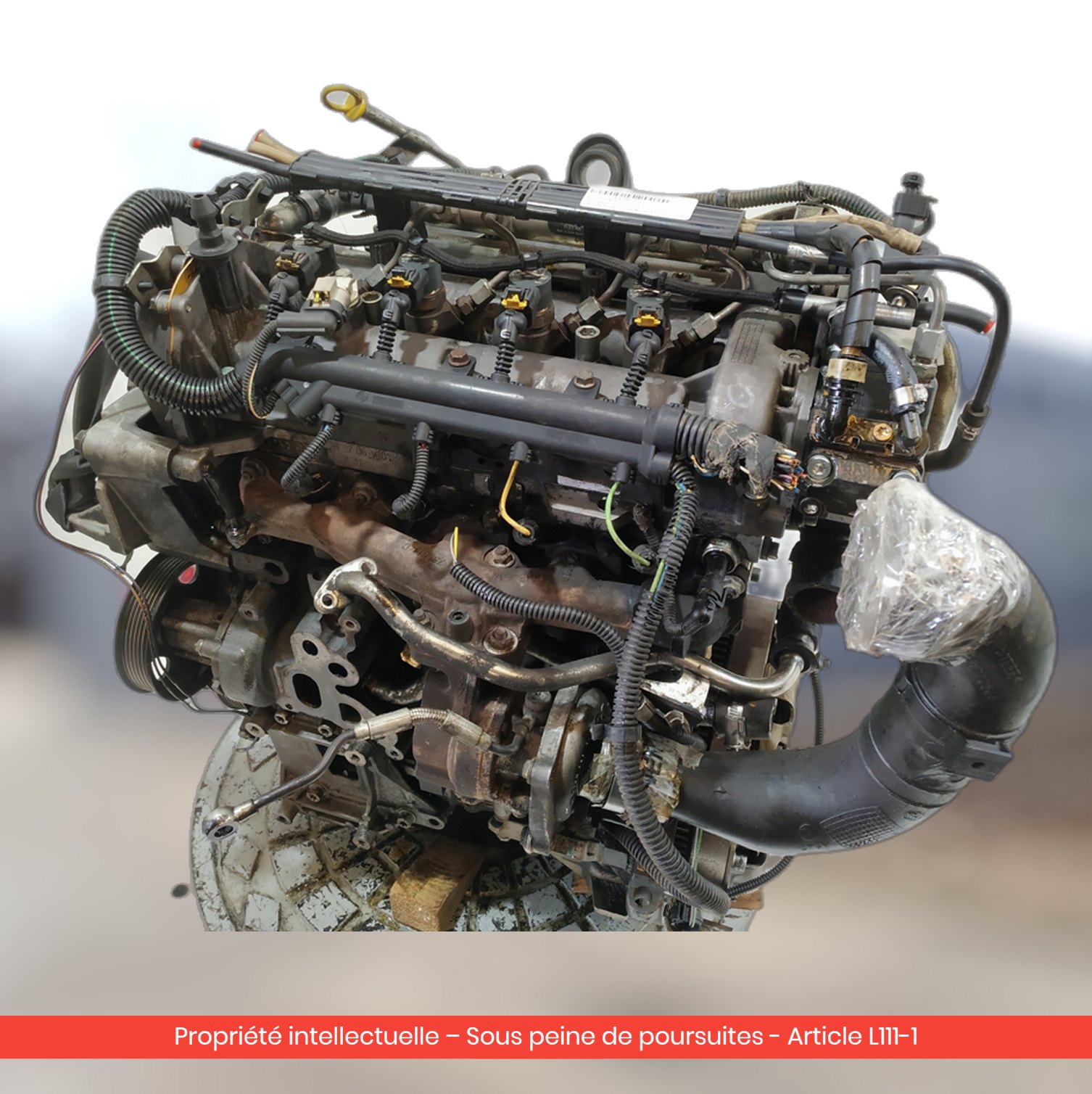 Moteur Fiat 500 / Ford KA 169A1000 — occasion — vue 2