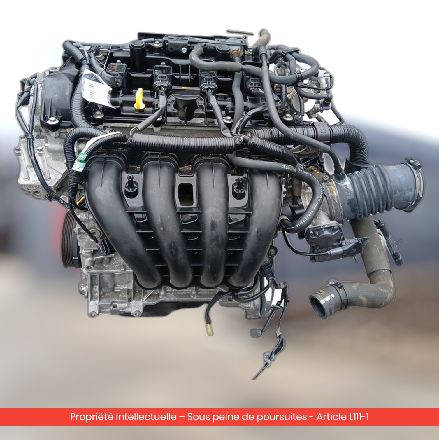 Moteur Mazda 3 / CX30 / CX3 PEXN — occasion — vue 1