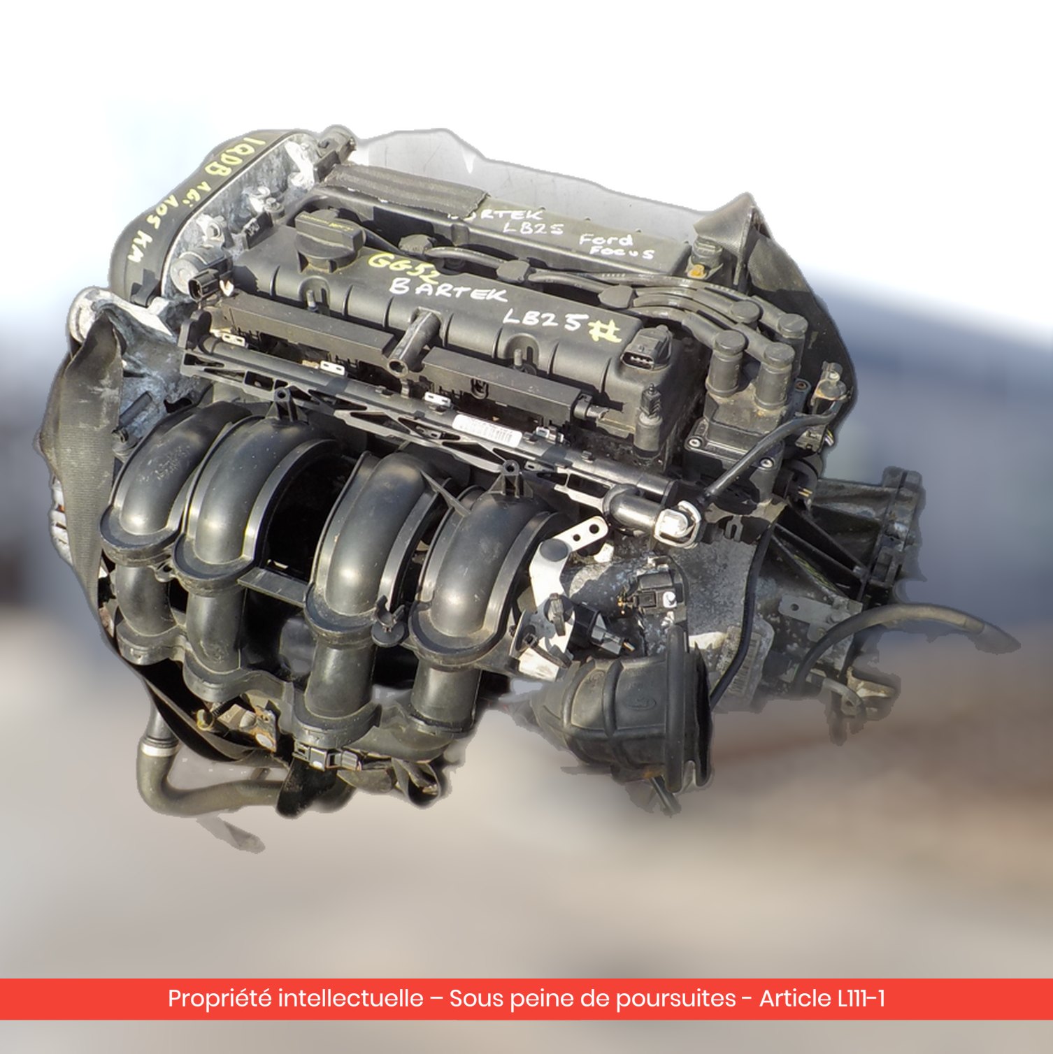 Moteur Ford Focus / C-Max IQDB — occasion — vue 2