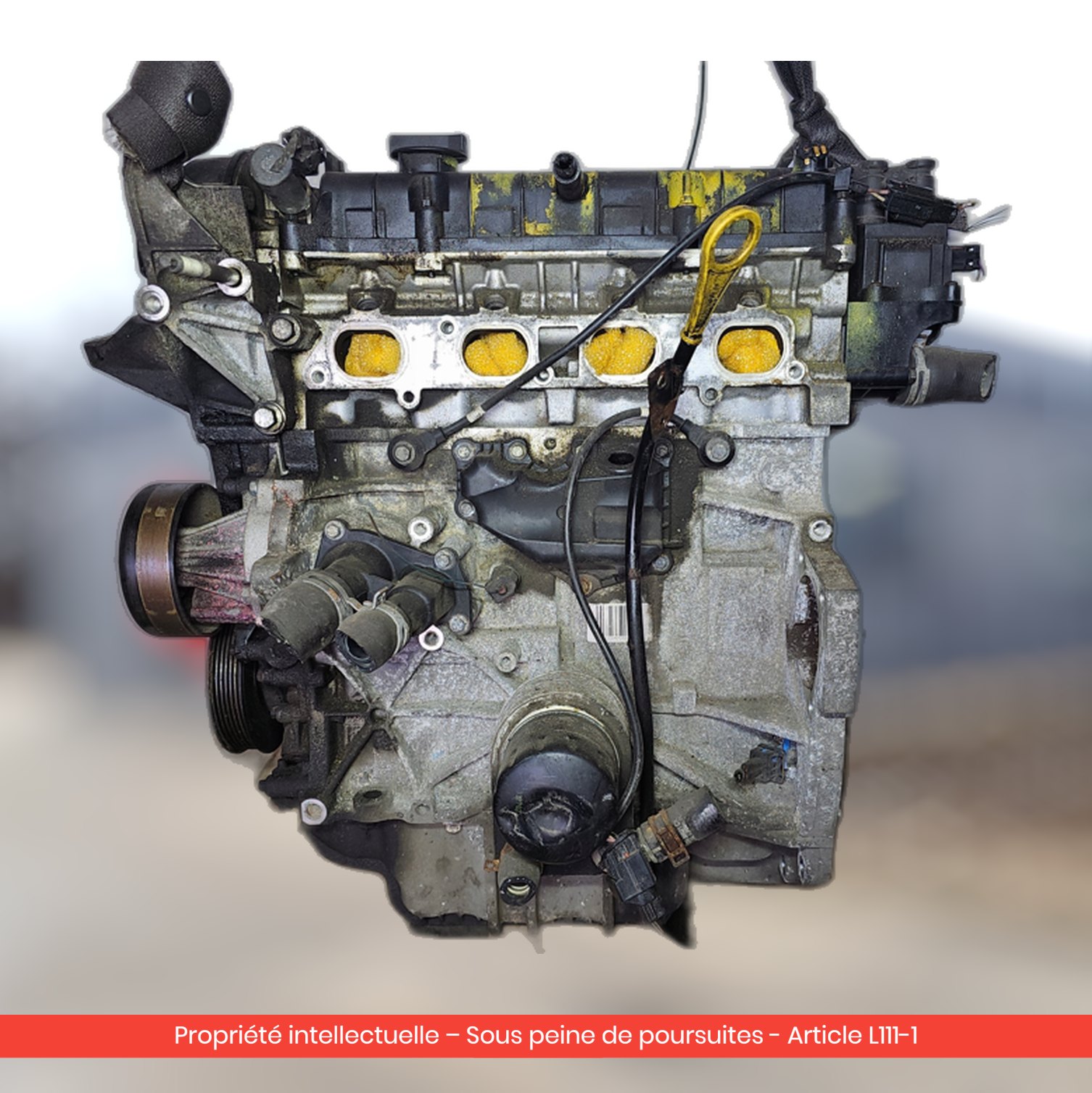 Moteur Ford Focus / C-Max PNDA — occasion — vue 2