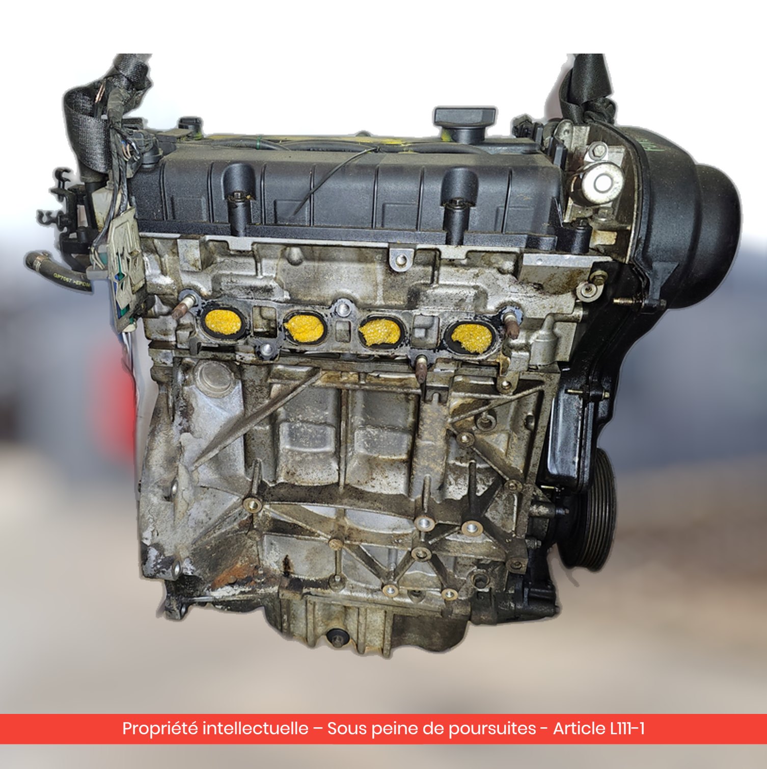 Moteur Ford Focus / C-Max PNDA — occasion — vue 3