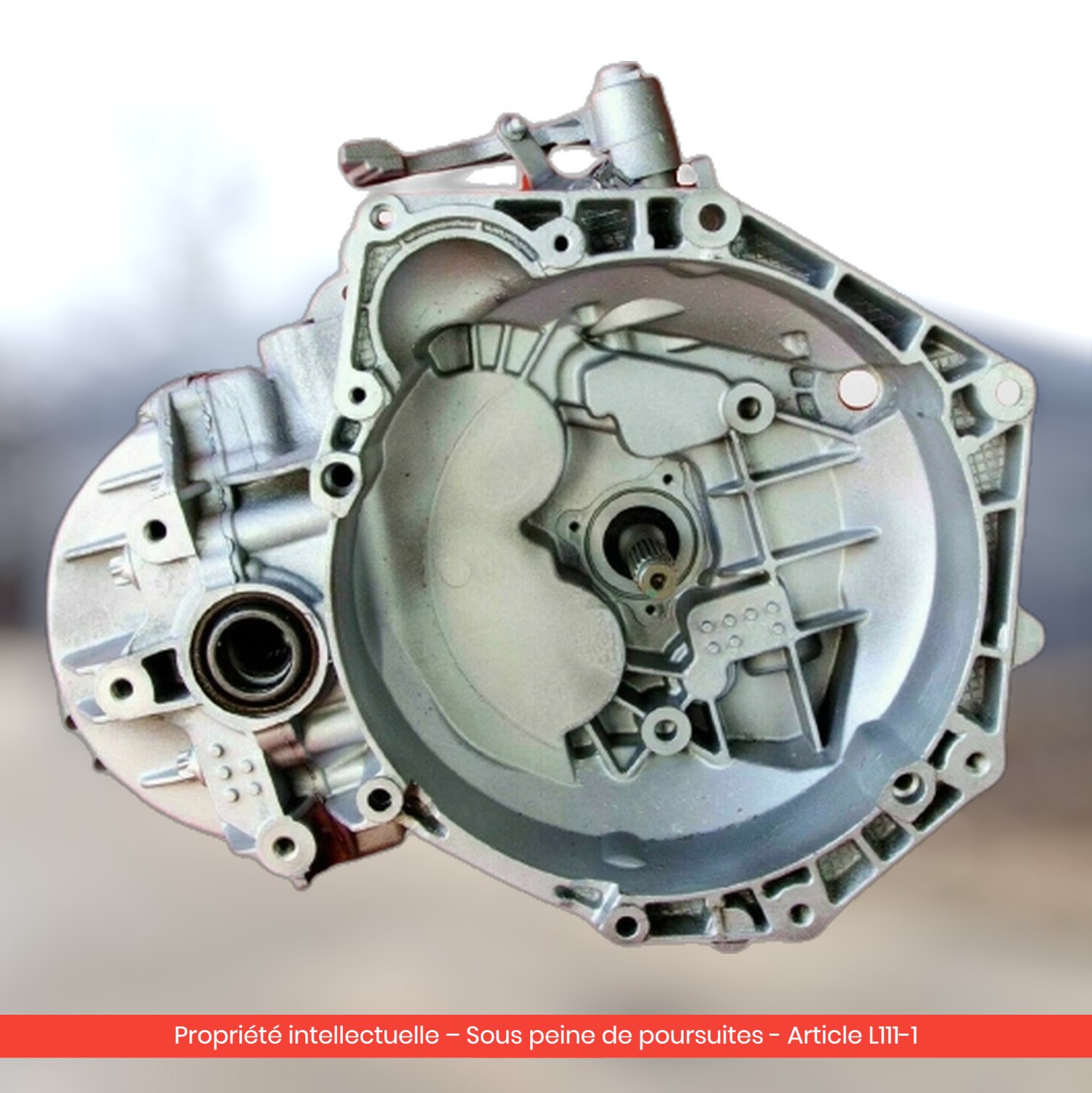 Boîte de vitesses reconditionnée Renault Scenic 1.4 — TL4A036 — vue 1