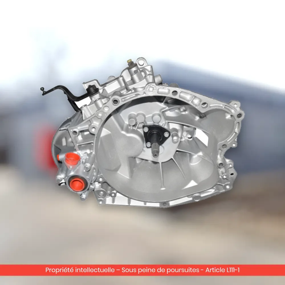 Boîte de vitesses reconditionnée Citroën Berlingo 2.0 HDi 5 rapports — 20DM50