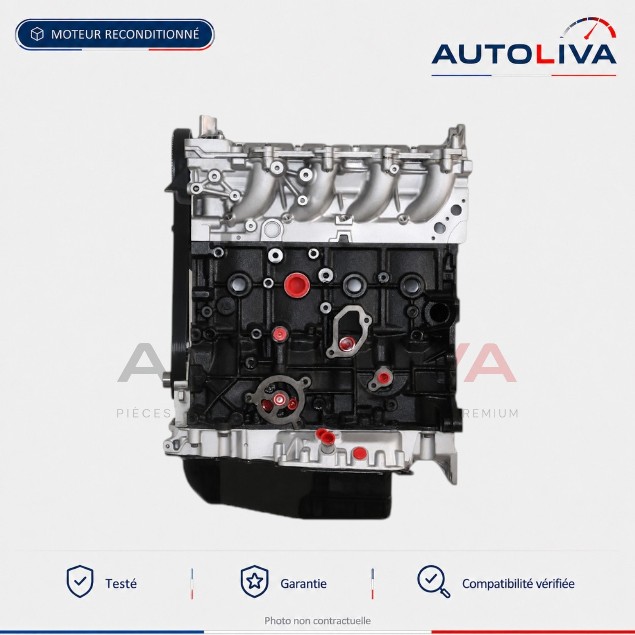 Dieselmotor RHH 2.0 HDi 163 PS generalüberholt – Peugeot Citroën Ford Fiat