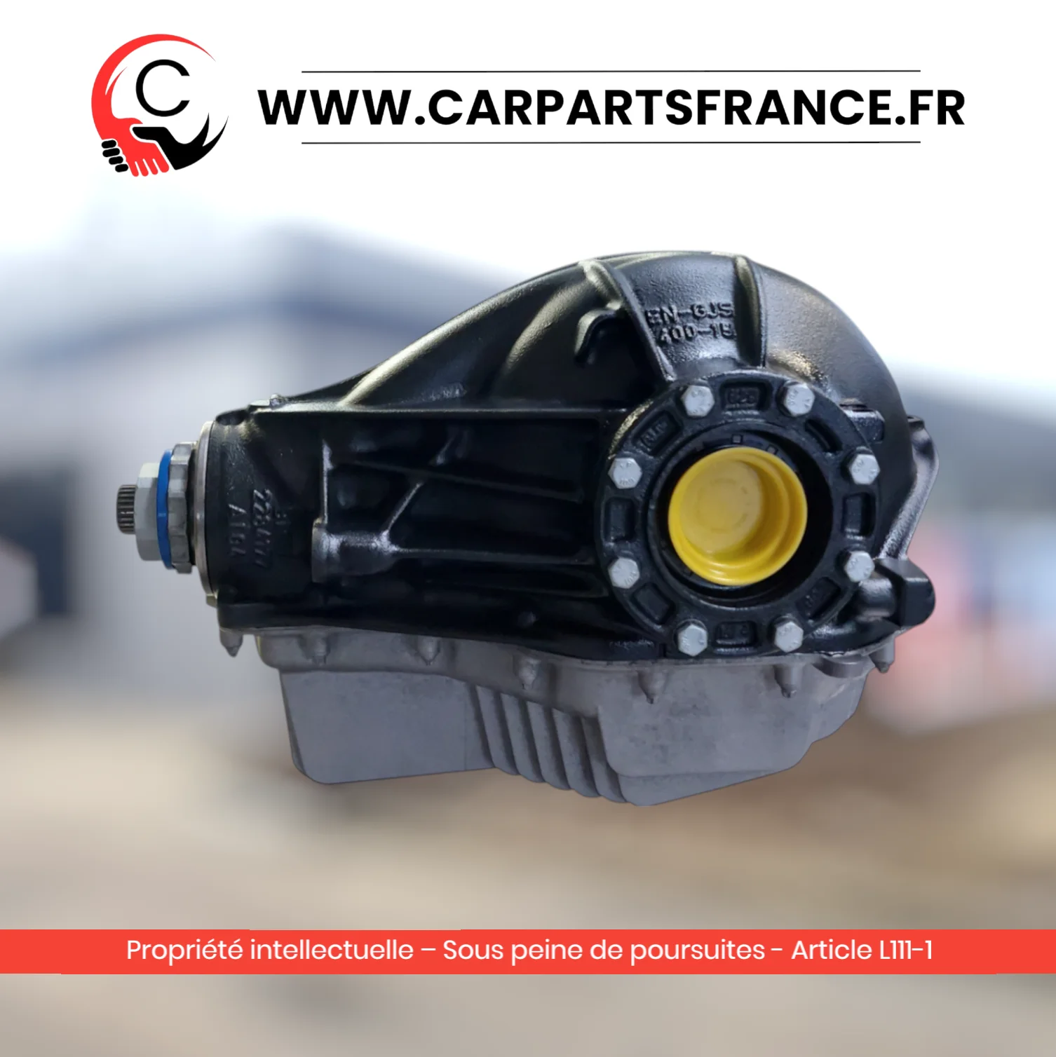 Hinterachsdifferential generalüberholt BMW M2 M3 M4 F87 F80 F82 F83 Übersetzung 3,46 - im Austausch