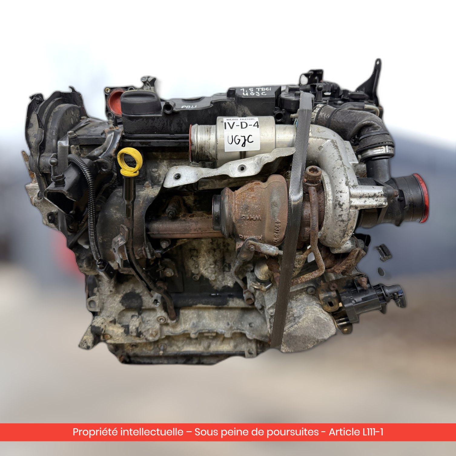 Moteur Ford Fiesta VII UGJC — occasion