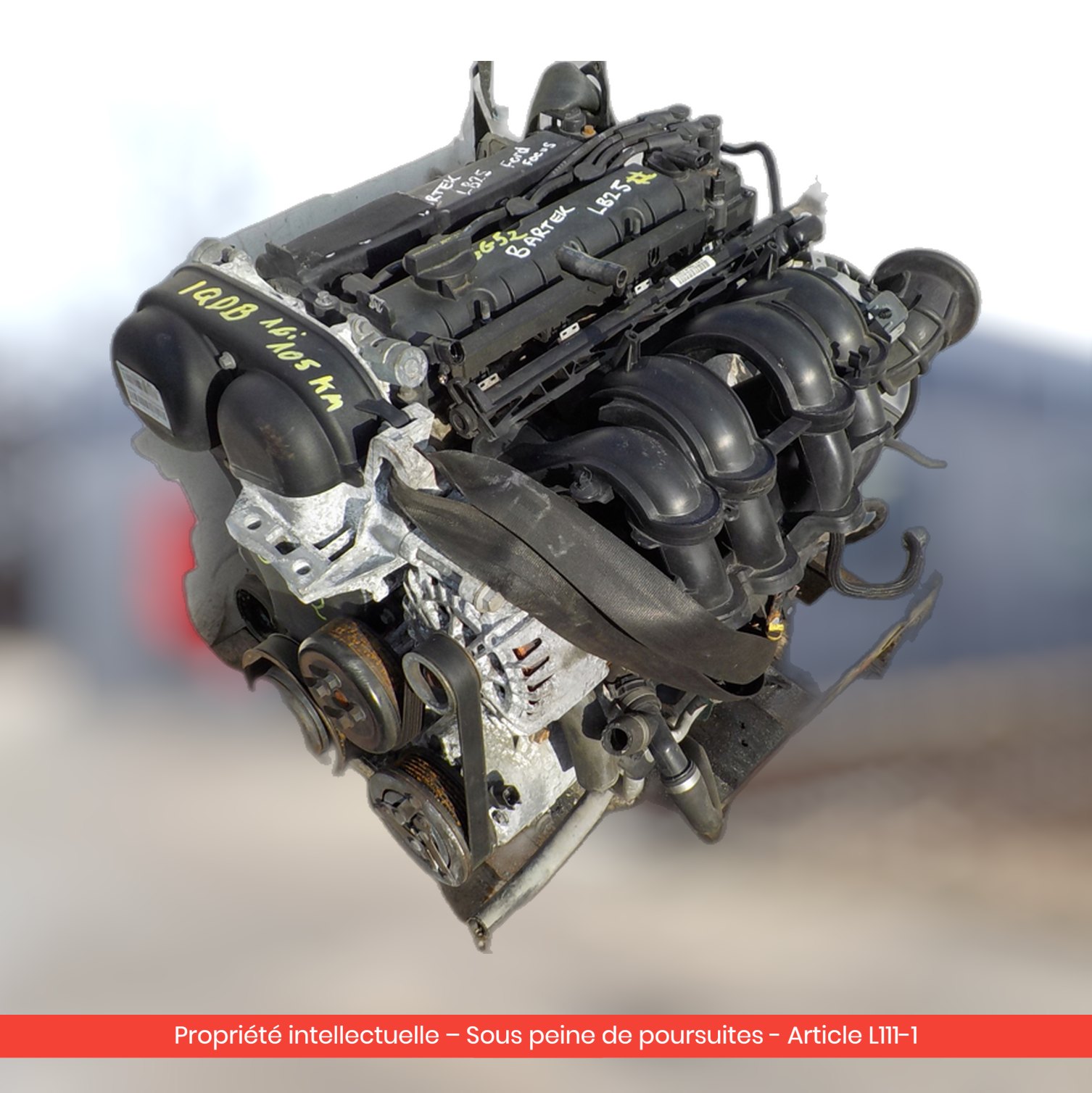 Moteur Ford Focus / C-Max IQDB — occasion