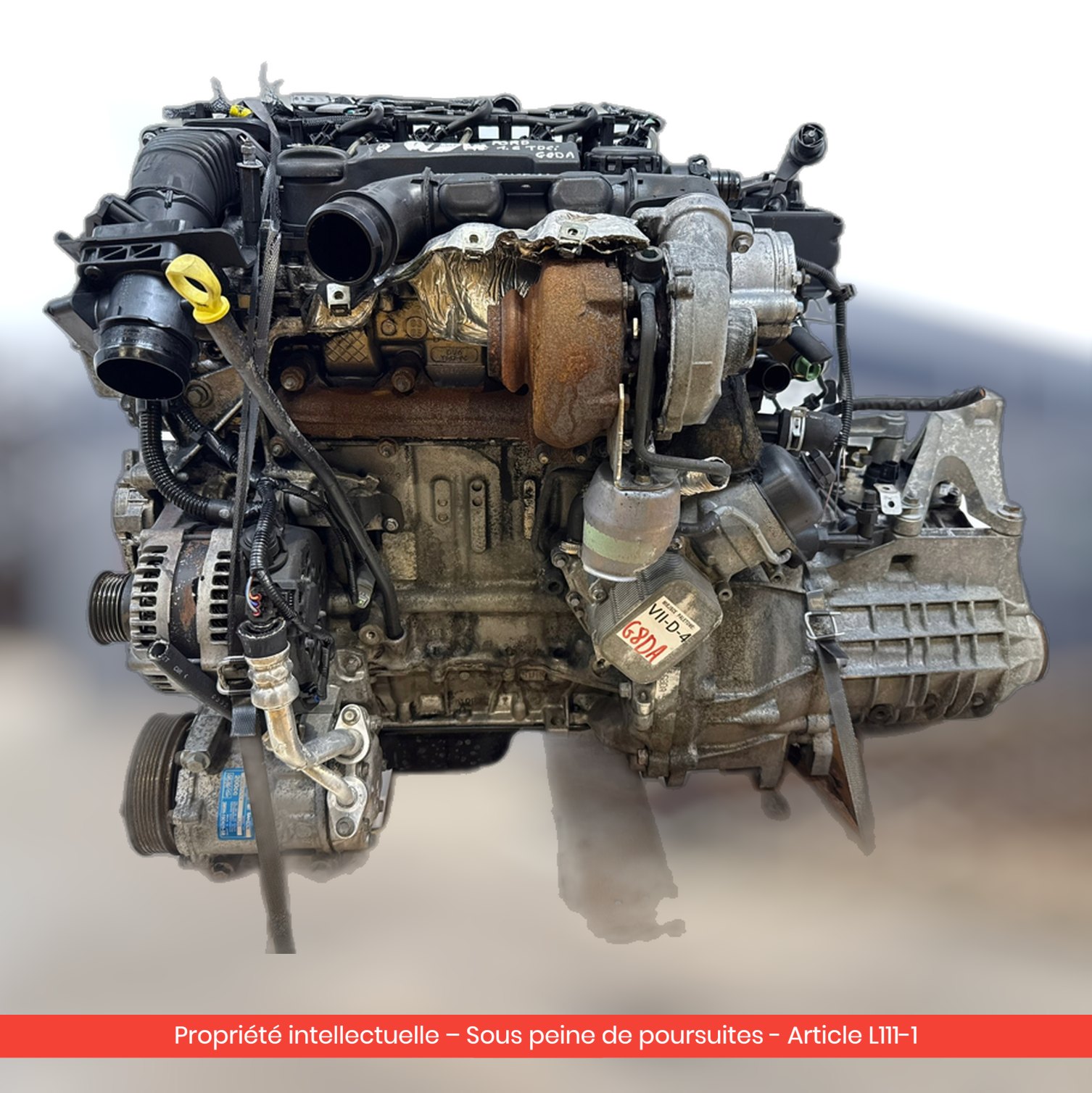 Moteur Ford Focus II MK2 G8DA — occasion