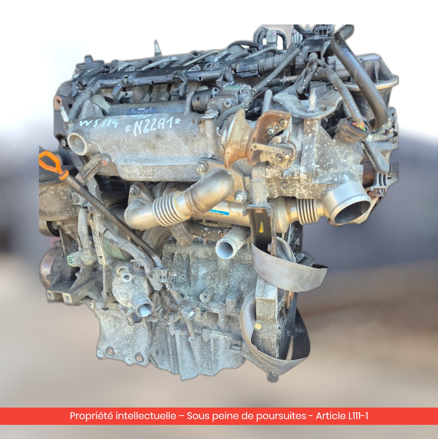 Moteur Honda Accord / Frv N22A1 — occasion