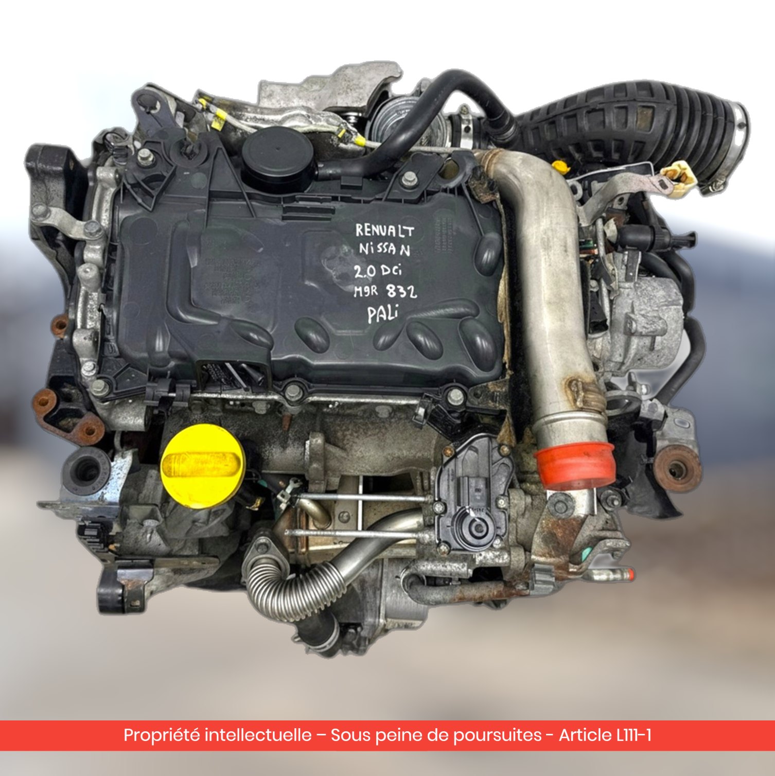 Moteur Nissan X-trail II T31 / Renault Koleos M9R832 — occasion