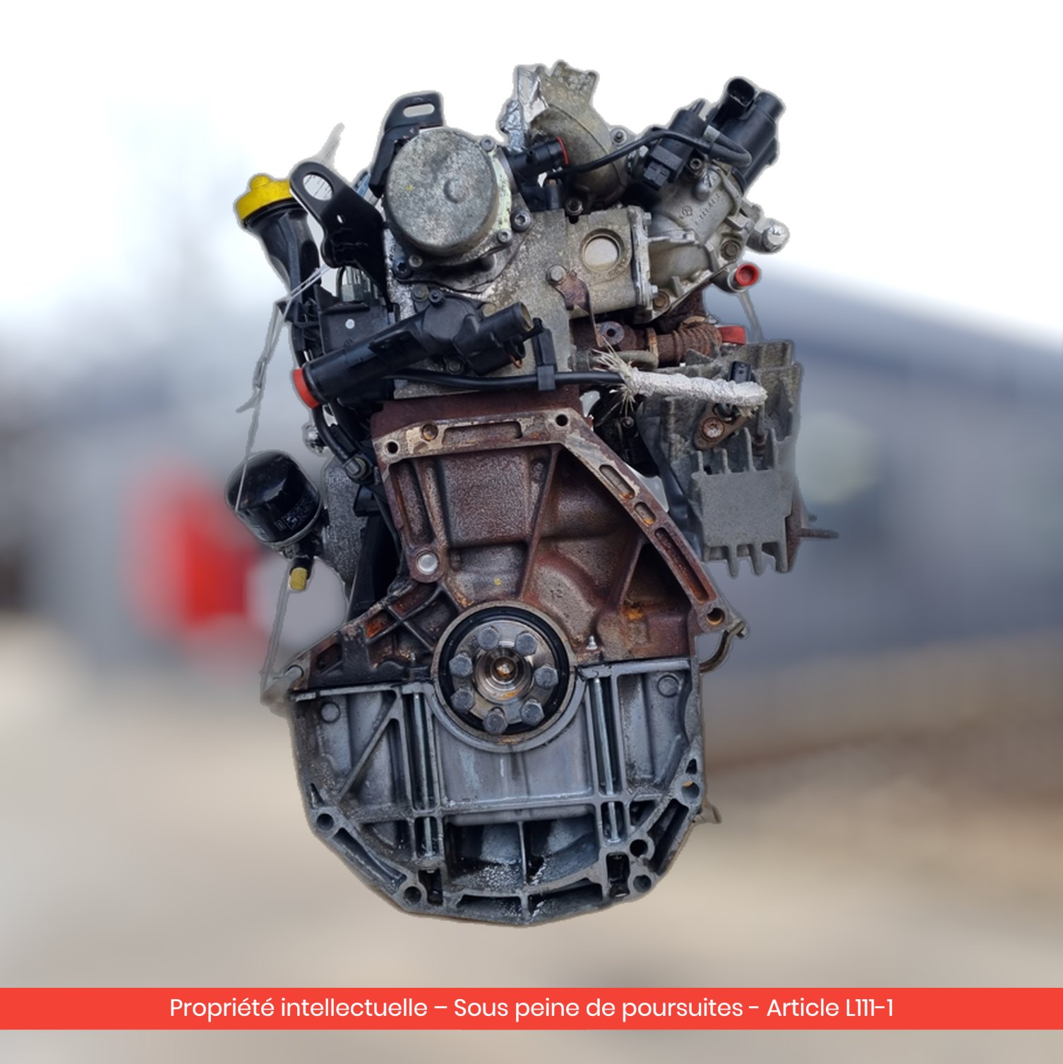 Moteur Renault Clio III K9K770 — occasion