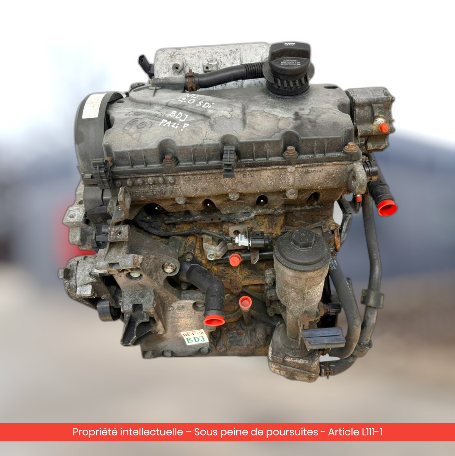 Moteur Volkswagen Caddy III SDI BDJ — occasion