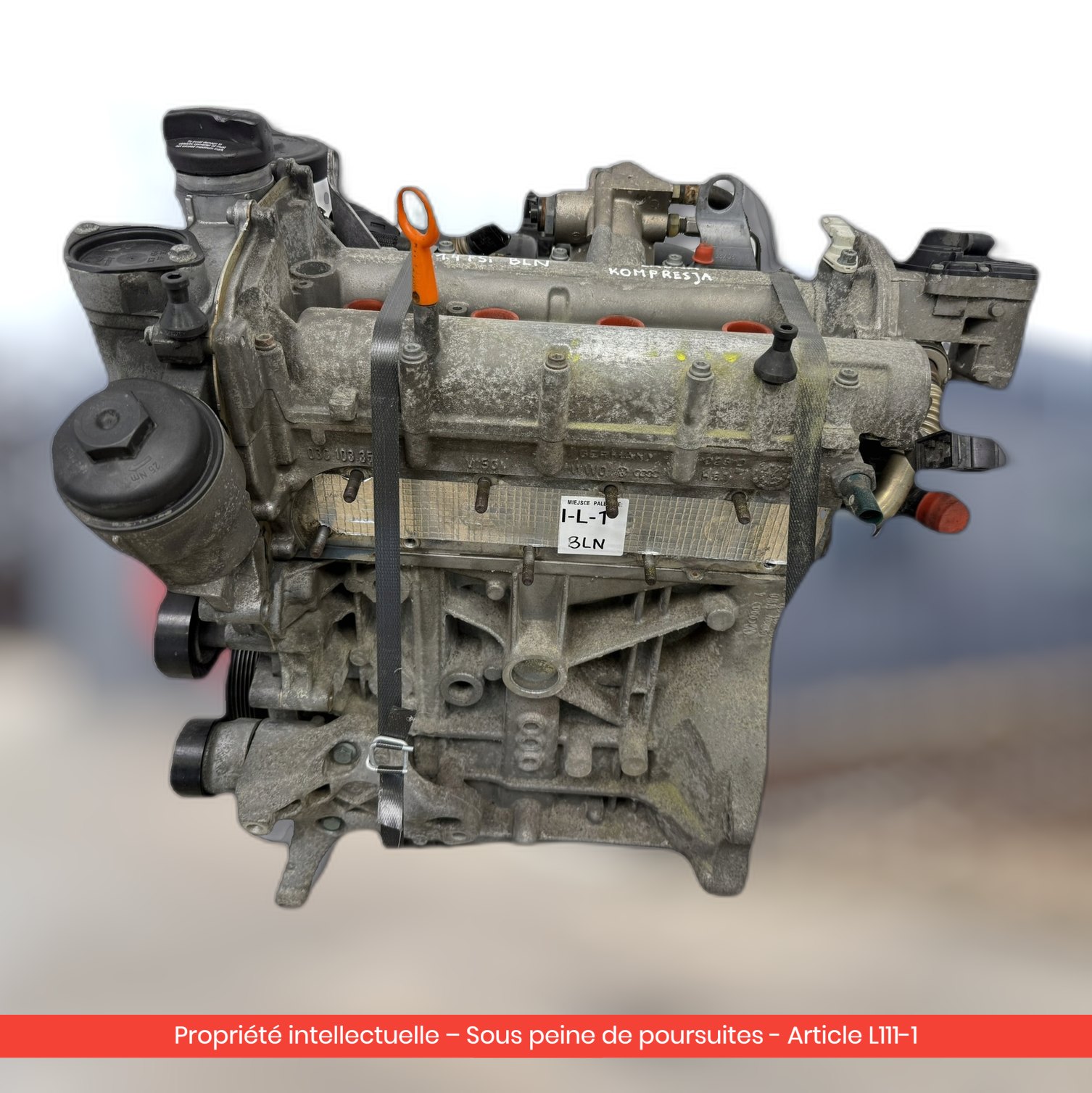 Moteur Volkswagen Golf V / Volkswagen Golf V BLN — occasion
