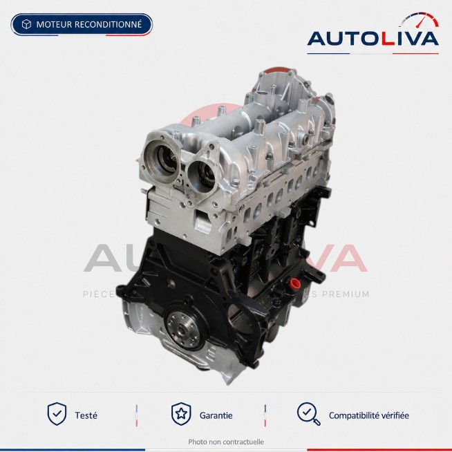 Motor 1.3 Multijet Fiat Punto, Doblo: Defekt und generalüberholt
