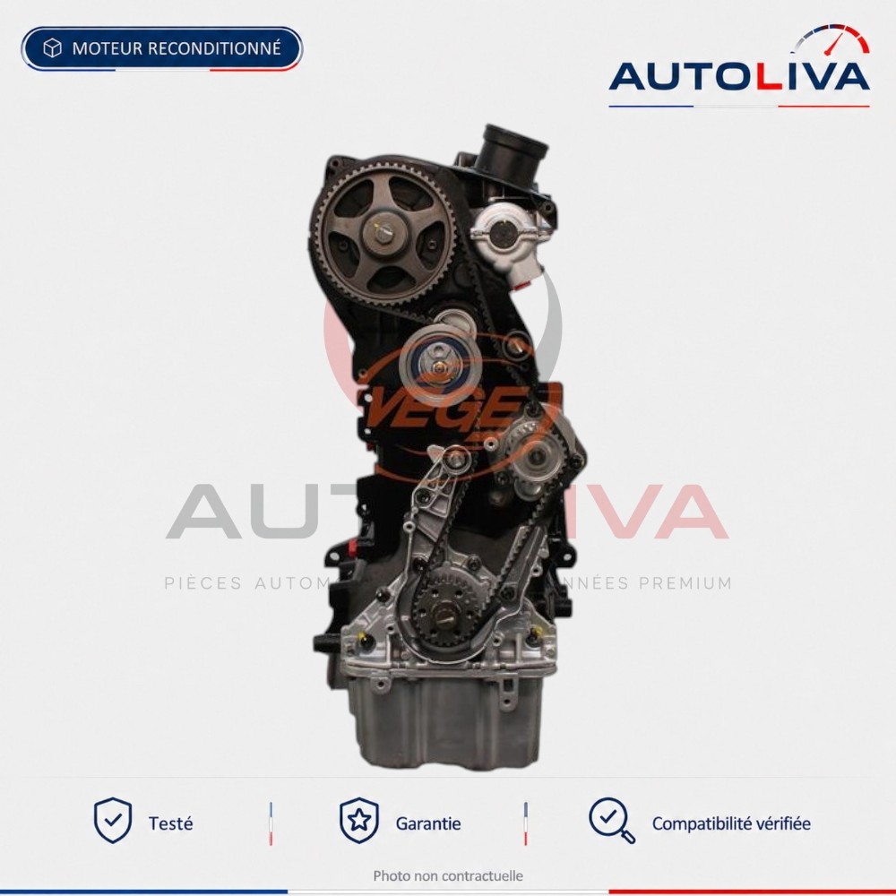 Motor 2.0 TFSI EA113 Golf GTI, Seat Leon und Skoda Octavia