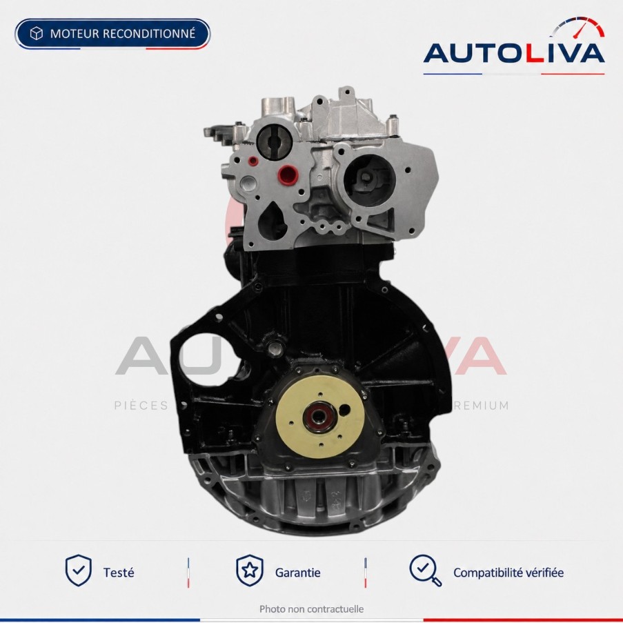 Motor M9R 740 Renault Laguna III und Espace IV (150 PS)