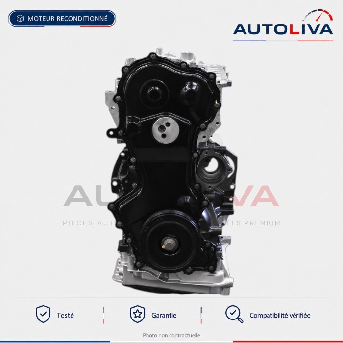 Motor M9R 830 Renault Koleos und Nissan X-Trail / Qashqai (173 PS)