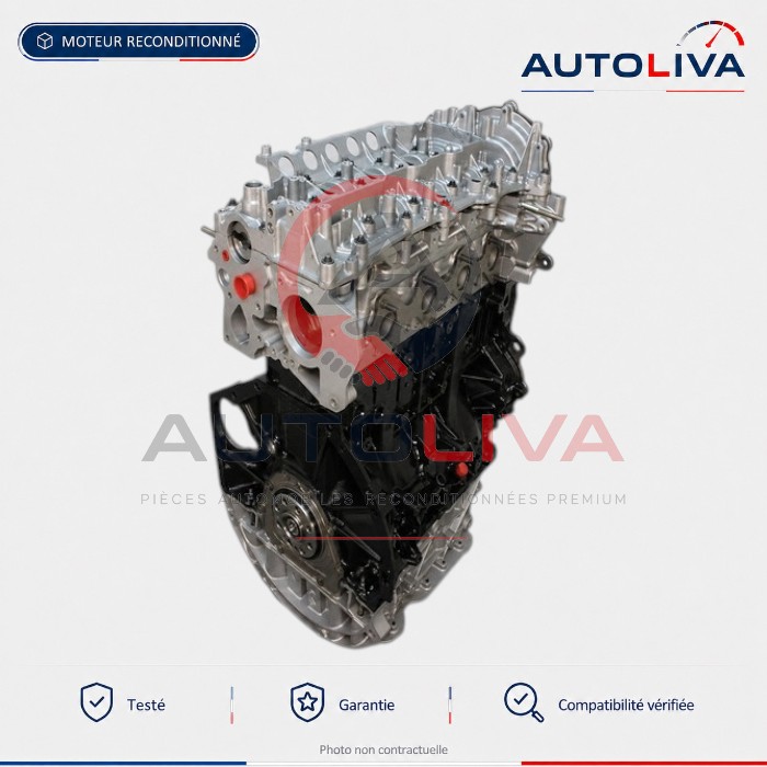 Motor Nissan NV400 und Opel Movano B 2.3 dCi M9T: der Leitfaden