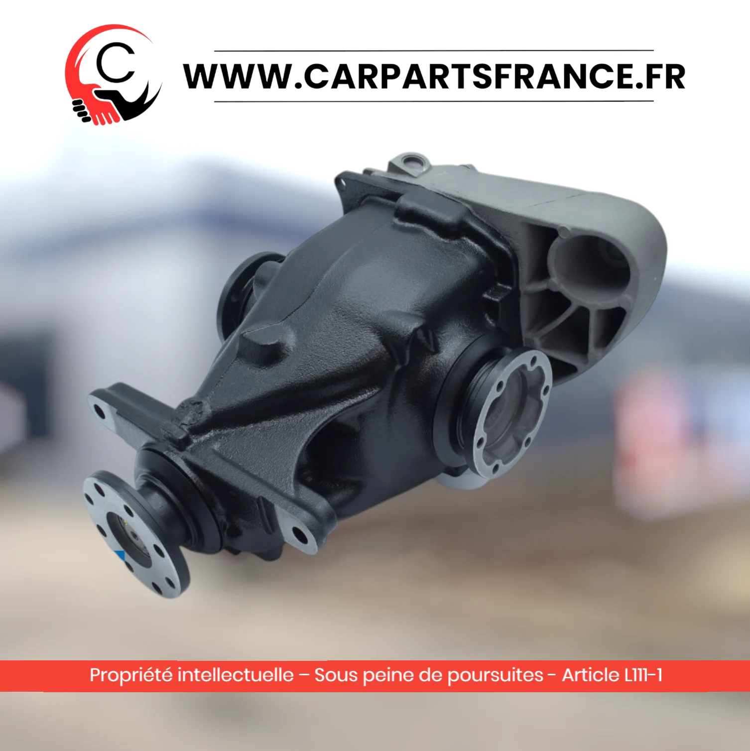 Pont arrière reconditionné BMW X1 E84 xDrive 18d / 20d OEM 33107615390 - échange standard
