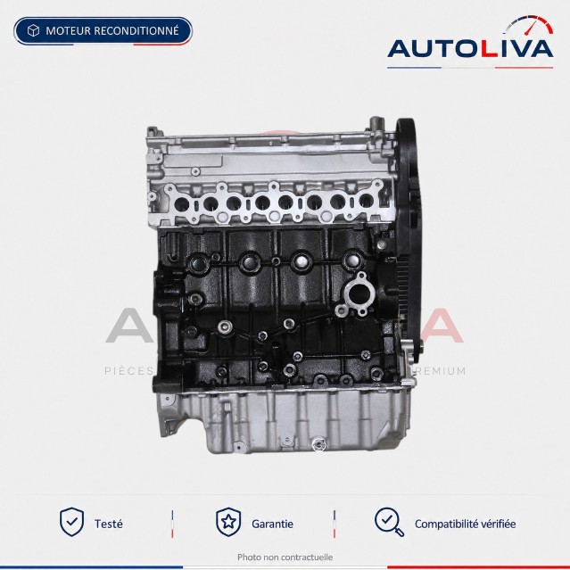 Preis eines 2.0 HDi / BlueHDi Motors: Budget und Austausch